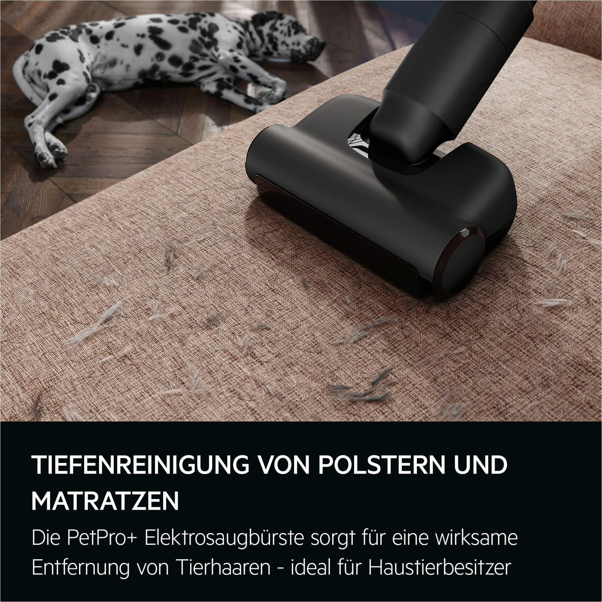 AEG Ultimate 7000 GEN2 Akku Staubsauger, ETM Testsieger, AP72UB21ES
